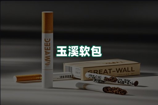 玉溪软包